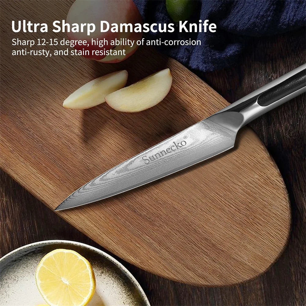 Sunnecko 3.5 Inch Fruit Paring Knife - 73 Layers VG10 Damascus Steel Chef's Peeling Knife