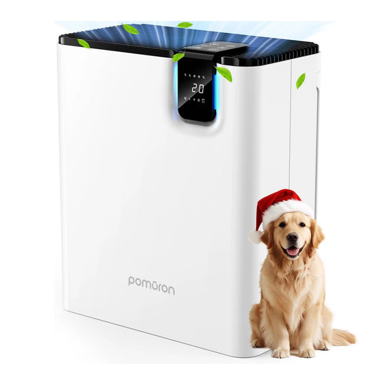 Air Purifier - 2500Ft² Coverage with H13 HAPA Dual Purification Smart Auto Function CADR Timing Setting