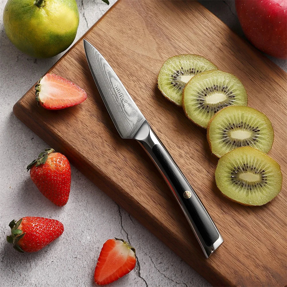 Sunnecko 3.5 Inch Fruit Paring Knife - 73 Layers VG10 Damascus Steel Chef's Peeling Knife